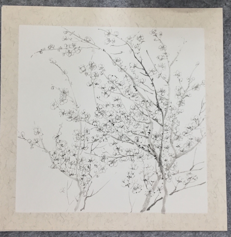 吴德宇《梢》50＊50cm水墨2017年